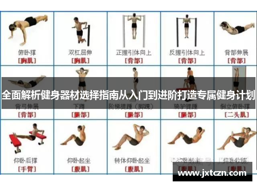 全面解析健身器材选择指南从入门到进阶打造专属健身计划