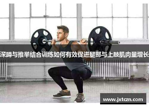 深蹲与推举结合训练如何有效促进腿部与上肢肌肉量增长